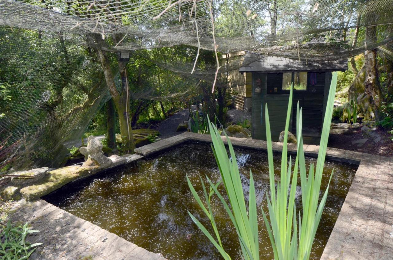 Tawny Lodge Westport Exterior photo