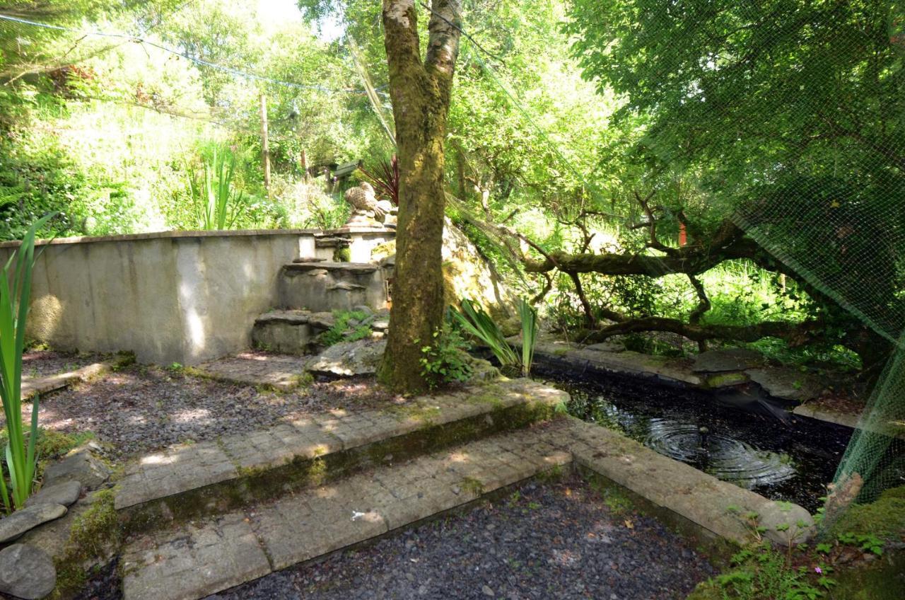 Tawny Lodge Westport Exterior photo